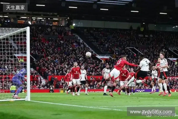 半场:富勒姆1-1水晶宫,恩凯蒂亚、哈里-威尔逊破门